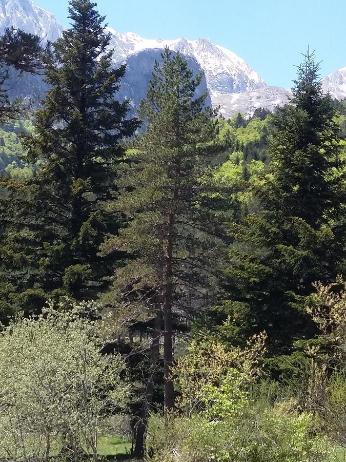 Hospederia Prepirineo Hotel Undués-Pintano Eksteriør billede